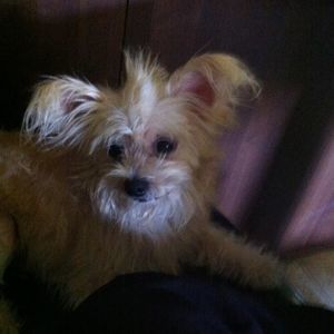 Meet your Posher, Nakia